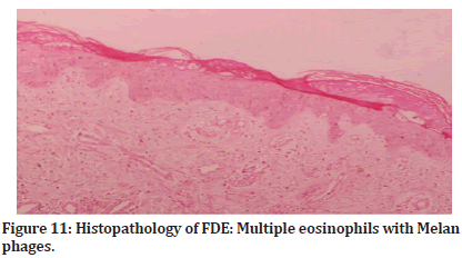 Medical-Dental-Histopathology