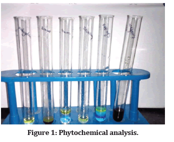 Medical-Dental-Phytochemical