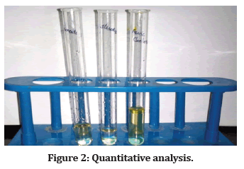 Medical-Dental-Quantitative