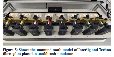 medical-dental-model