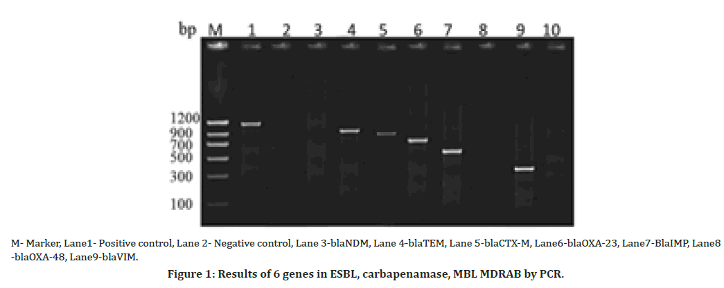 medical-dental-science-carbapenamase