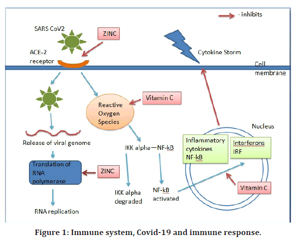 medical-dental-science-immune-response medical-dental-science-immune-response