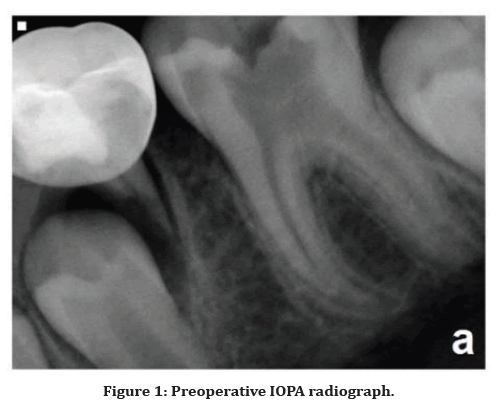 medical-dental-science-radiograph