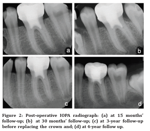 medical-dental-science-radiograph