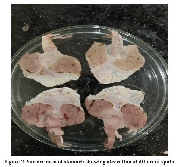 medical-dental-science-ulcer-induction