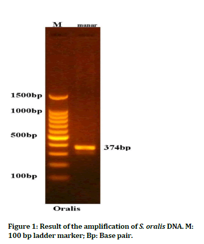 Medical-Dental-amplification