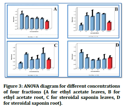 Medical-Dental-concentrations