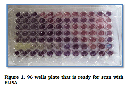 Medical-Dental-plate