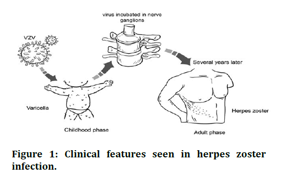 jrmds-Clinical