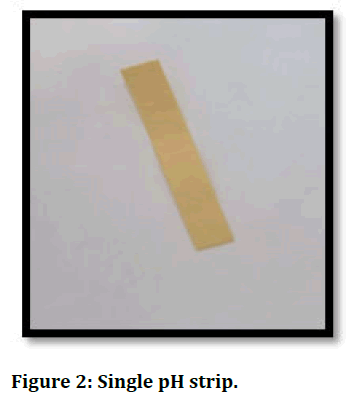 jrmds-Single jrmds-Single