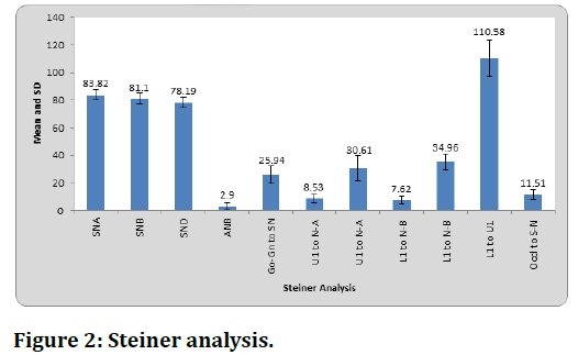 jrmds-Steiner