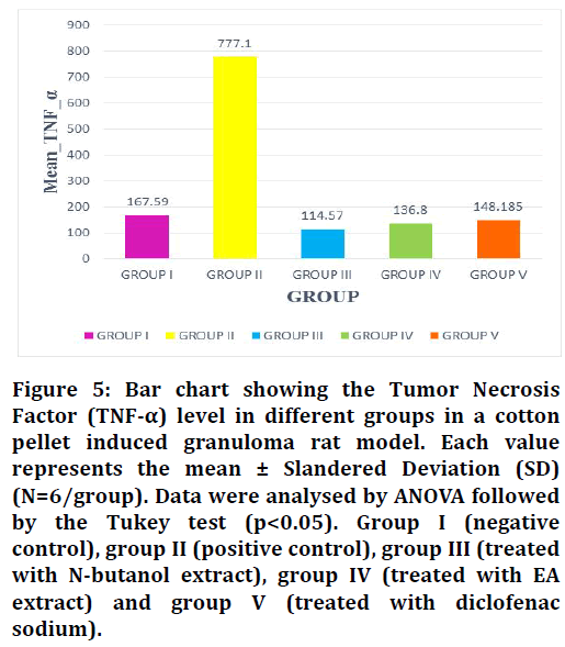 jrmds-Tumor